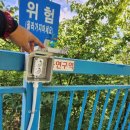 진양호캐리비안 이미지