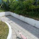 애화살롱 이미지