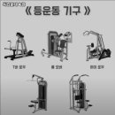 독립문체육관 이미지