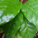 지금 여기 이미지