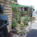 들꽃이 있는집 이미지