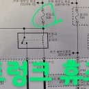 카데렐라 이미지