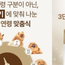 주식회사 스마트독 이미지