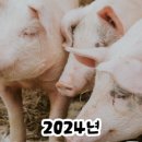 부영축산물 이미지
