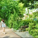 대성카쎈타 - 금산군 비호로 106 | 대성카쎈타