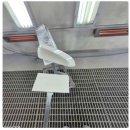 케이자동차공업사 이미지