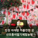 팜어앤가드너 | 인천 딸기체험 놀이시설까지 이용가능한 산모퉁이딸기농원 내돈내산 후기
