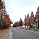 익산대로 이미지