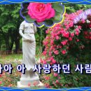 나훈아노래방 이미지