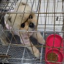 삼산종합동물병원 이미지