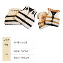 [부산 해운대] 클럽디오아시스 워터파크 방문 후기 🌊