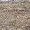 대우이안 공인중개사사무소 이미지