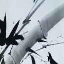 파인리즈 컨트리클럽 이미지