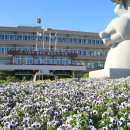 익산세무서 이미지