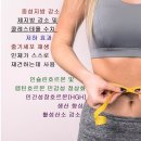 참건강