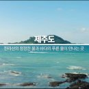 (주)피앤아이휴먼코리아 이미지