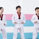 스타일 태권도장 이미지