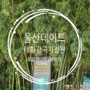 울산3대밀면 | 울산데이트 : 태화강국가정원 십리대숲 울산3대밀면