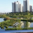 운정호수공원 이미지