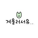 포항임곡물회 이미지