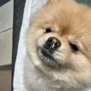 능곡제일한의원 이미지