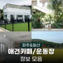 퍼피힐(PUPPY HILL) | 파주&amp;일산 소형견 애견카페 모음집