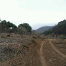 이유농장 이미지