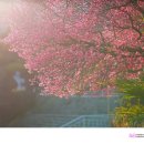 순천매산고등학교 이미지