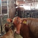 시골나들이 이미지