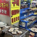 모녀가리비 이미지