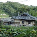 오고당
