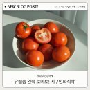 진하고 깊은 단맛 유럽종 완숙토마토 최상품 후기:: 지구인의 식탁