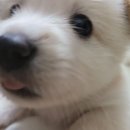 오월이네 이미지