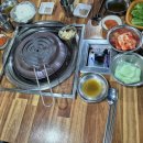 은행나무갈매기 이미지