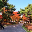 봉오대로 이미지