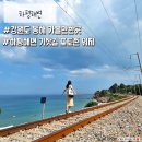 할리스(동해묵호점) | 강원도 동해 묵호 가볼만한곳 하평해변 기찻길 포토존 위치, 가는 방법, 주차장