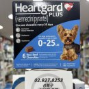 플러스하트 이미지