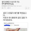 결국 정해진 수순으로 가는 SPC 불매운동 이미지