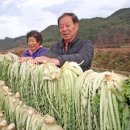 한창메디칼 이미지