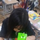 화정중학교 Daum카페