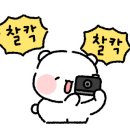이진식육점