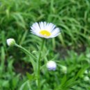 호계공원 이미지