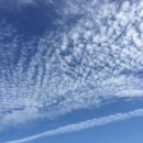 남문세차장 이미지