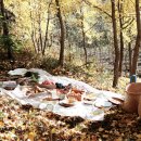 소풍푸드(food) 이미지