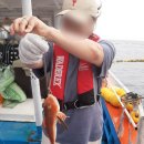 삼척바다배낚시체험 이미지