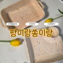 팡이랑쏭니랑