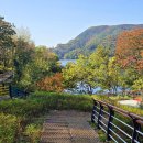 청주가로수길 이미지