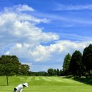 코스모스약국 이미지