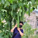 옹기문화의 집 이미지