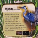 달성습지생태학습관 네이버블로그